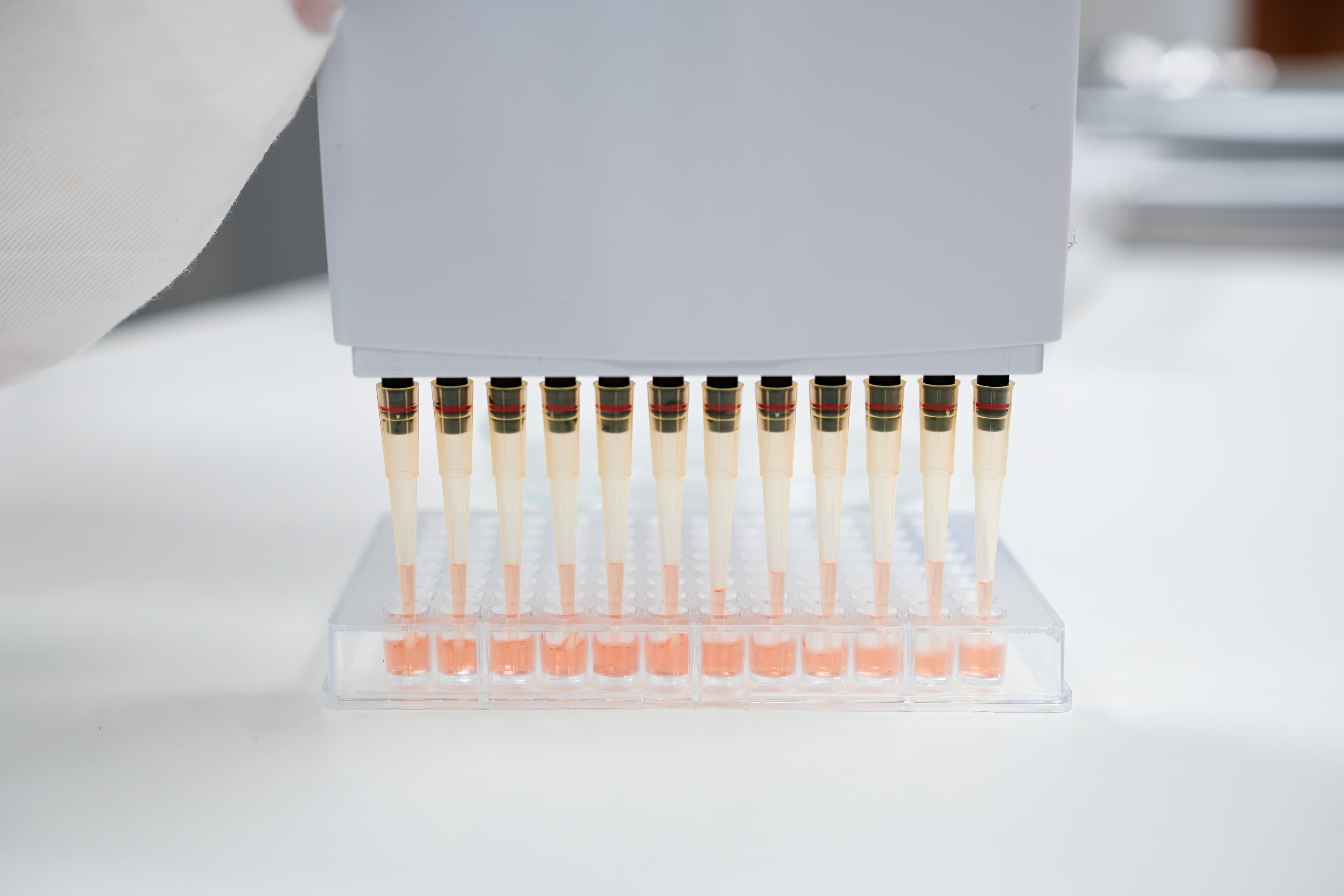 Assay Kits - Activity Assay Kits