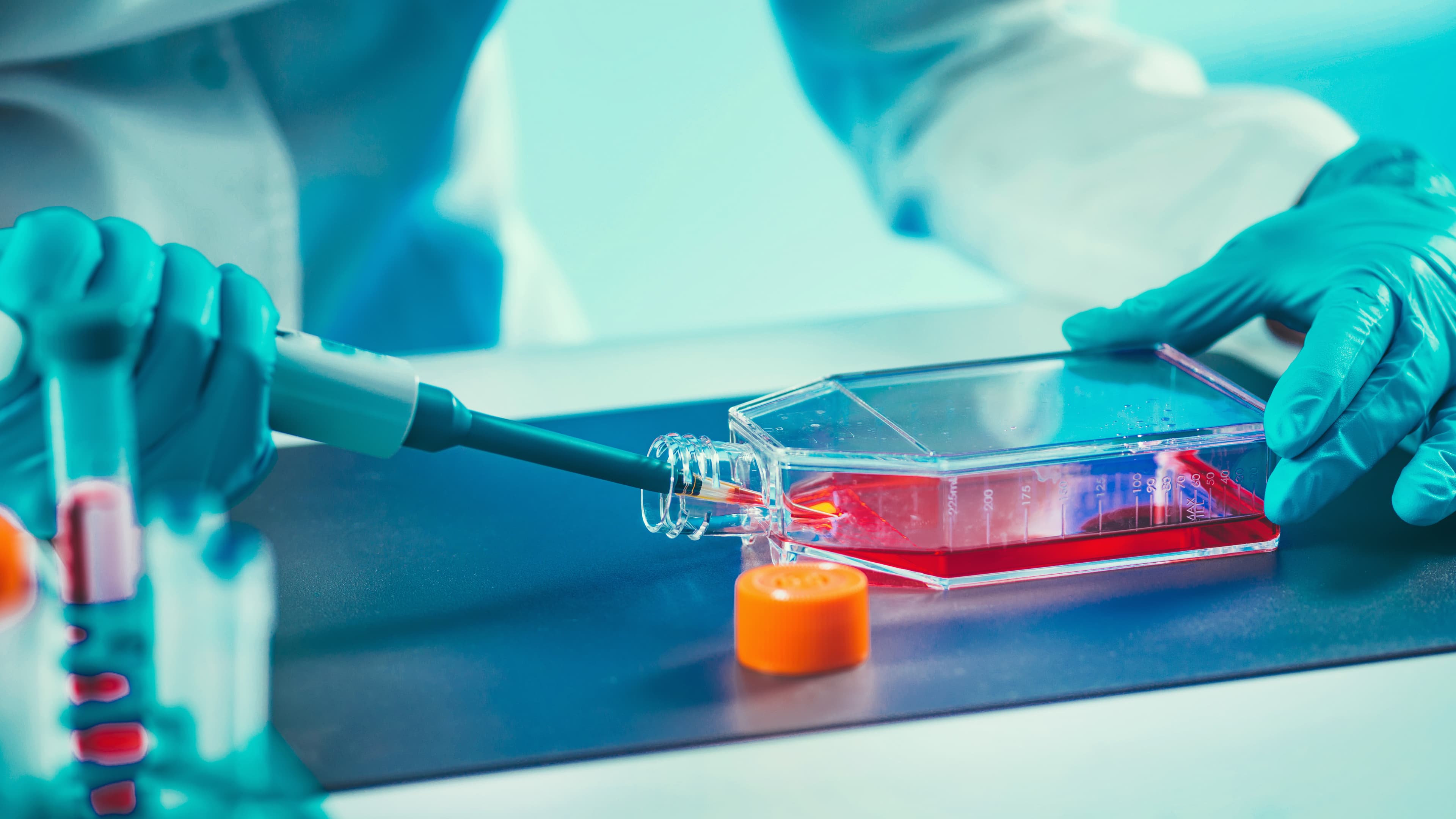 AffigenBio research team