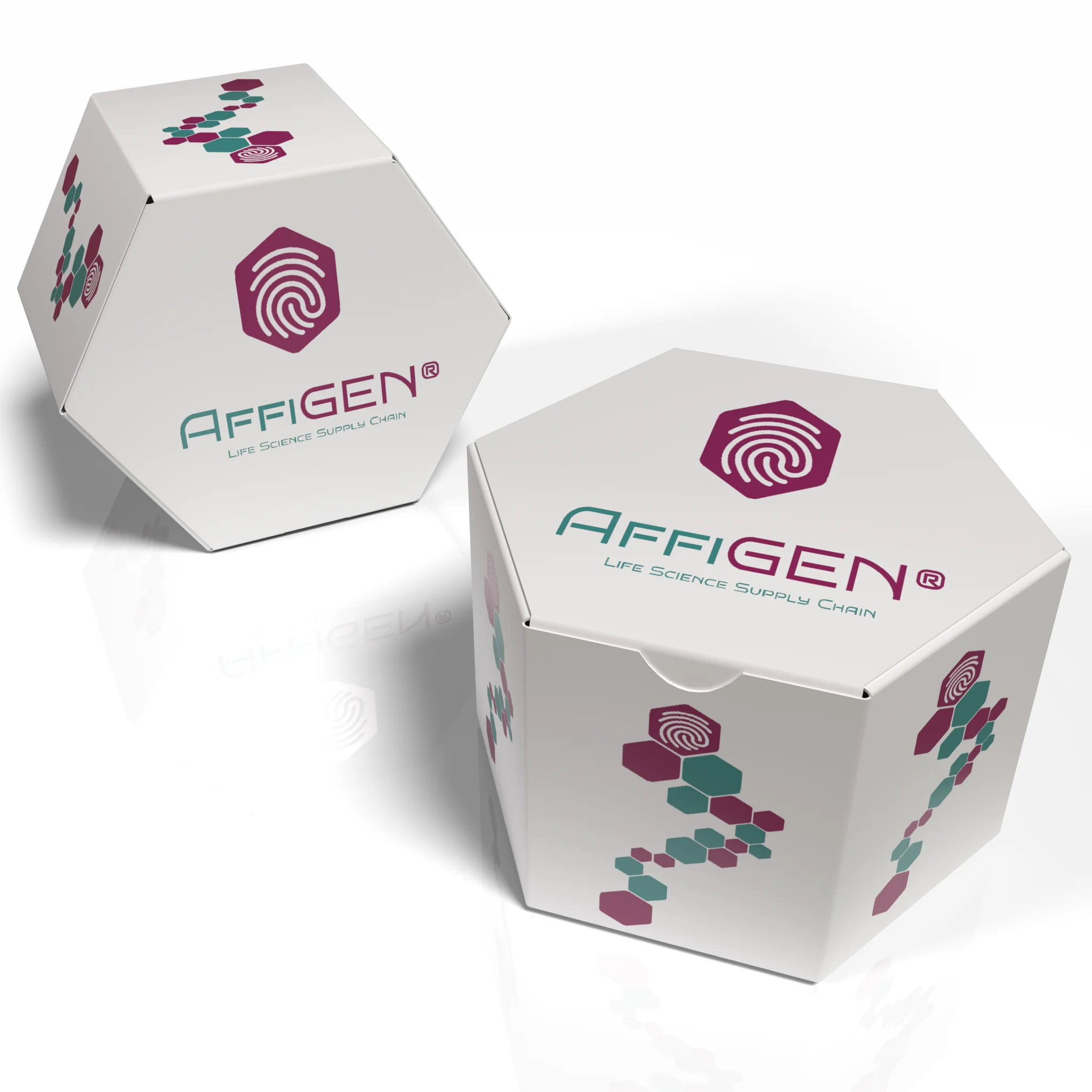 affiplasmid product